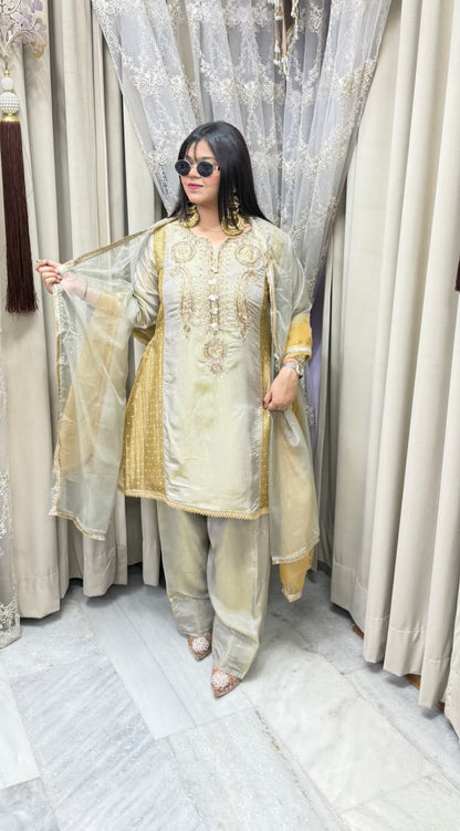Designer Premium Tissue Suit with Full Hand Work for Women |